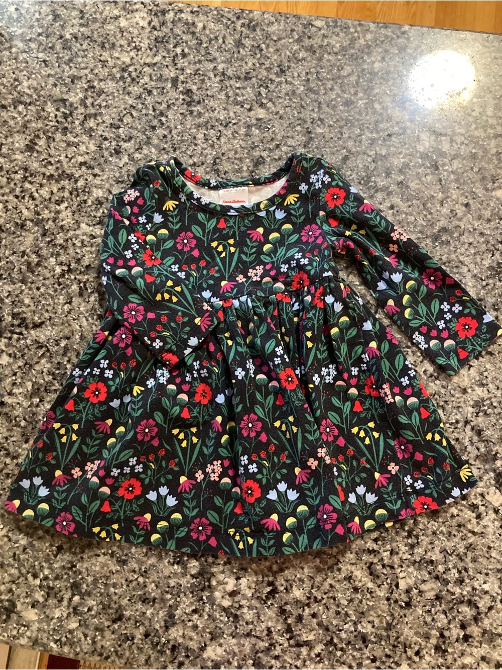 Hanna Andersson Black Floral multicolor Long-Sleeve Dress for baby girl 12-18m